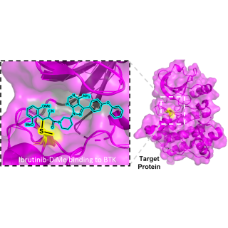 A graphic depiction of the dimethoxyphenyl cyanoacrylamide (DiMe) chemical warhead facilitating reversible binding of drug to its molecular target.