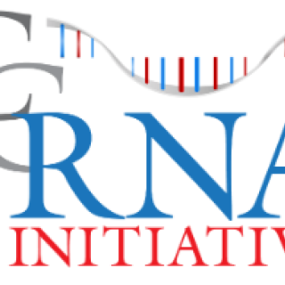 CCR RNA Biology Initiative logo
