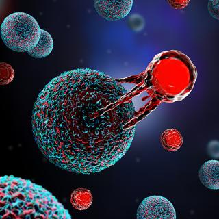 Three-dimensional illustration of a T cell attacking a cancer cell.