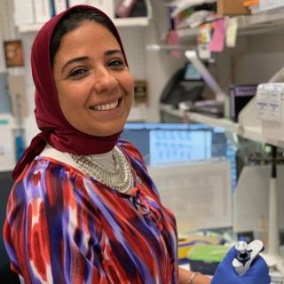 Dr. Marwa Afifi