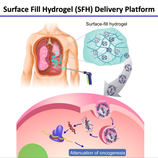 Diagram illustrates how the hydrogel platform delivers therapy directly to cancer cells