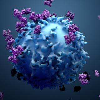 3D illustration proteins with lymphocytes , T cells or cancer cells