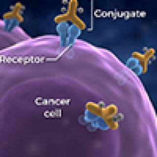 Immunotherapy depicted with a cell