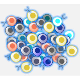 illustration of the drug, viralym-m