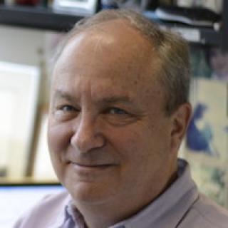 Michael Lichten headshot