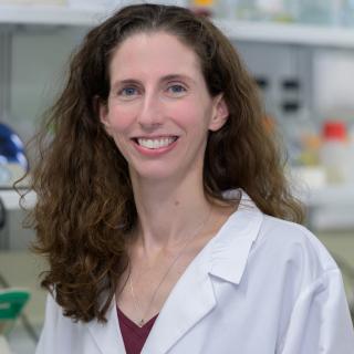 Erin L Davies Ph.D.