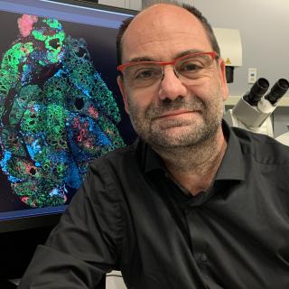 Roberto Weigert Ph.D.