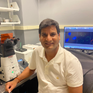 Photo of Brajendra Tripathi using confocal microscope