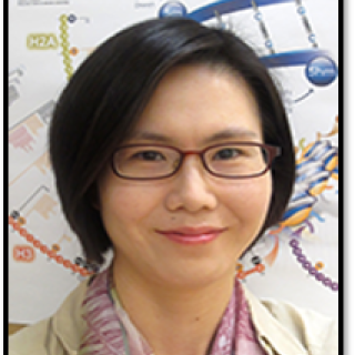 Sohyoung Kim headshot