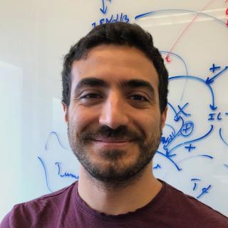 Sam Jamaleddine