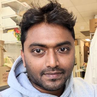 Vijaya Pidugu profile photo