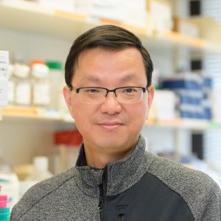 Dr. Wei Zhang, Ph.D.