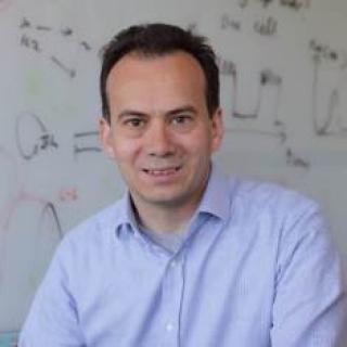 Grégoire Altan-Bonnet, Ph.D.