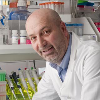 Stefan Ambs, Ph.D., M.P.H.