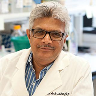 Suresh V. Ambudkar, Ph.D.