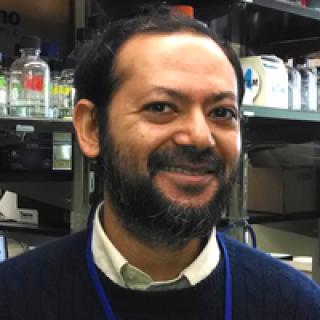 Siddhartha A.K. Datta, Ph.D.