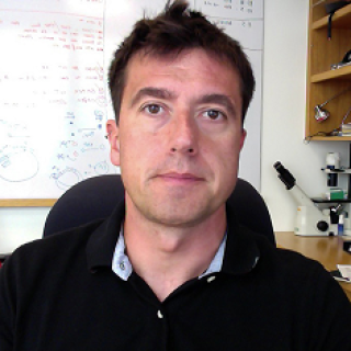 Eros Lazzerini Denchi, Ph.D.