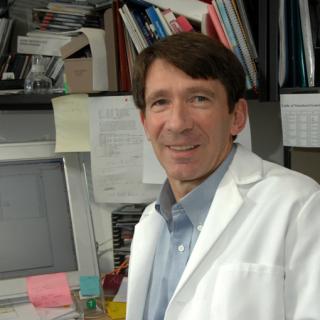 David J. FitzGerald, Ph.D.