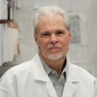 Glenn  Merlino, Ph.D.