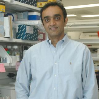 S. Perwez Hussain, Ph.D.