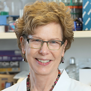 Kathleen Kelly, Ph.D.