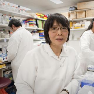 Shioko  Kimura, Ph.D.