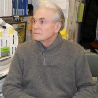 Vladimir L. Larionov, Ph.D.