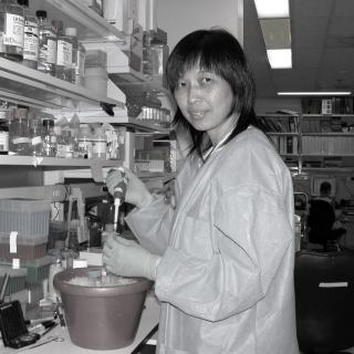 Luowei  Li, Ph.D.