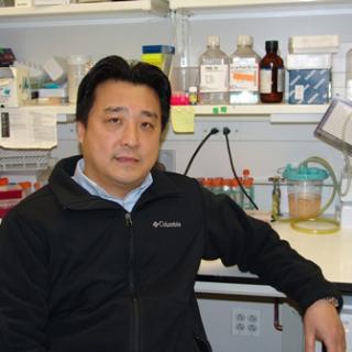 Zheng-Gang  Liu, Ph.D.