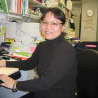 Ruibai  Luo, Ph.D.