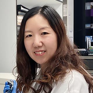 Nan Li, Ph.D.