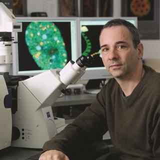 Andre Nussenzweig, Ph.D.
