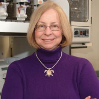 Cheryl Ann Winkler, Ph.D.