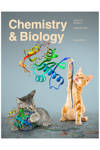 Cover of Chemistry & Biology, Volume 22, Number 8, August 20, 2015