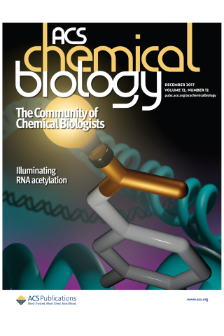 Image shows RNA illuminated with a light bulb