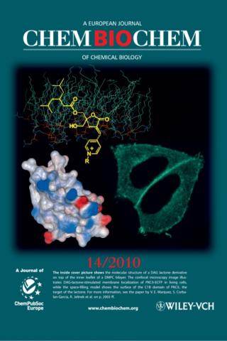 Cover of ChemBioChem, September 24, 2010