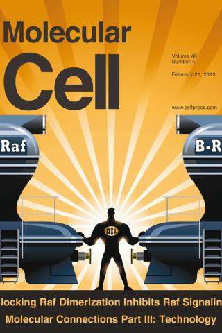 Molecular Cell cover, Vol. 49, No. 4, Feb. 21, 2013