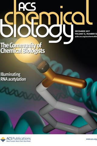 Image shows RNA illuminated with a light bulb