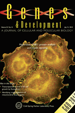 Genes and Development Cover, 2010 Jul 15;24(14):1496-506