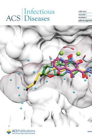 Ribbon model of INSTIs bound to HIV-1 IN.