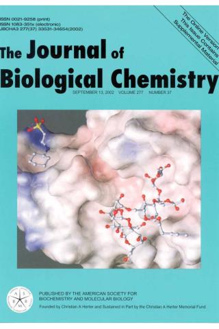 Cyanovirin binding to gp120