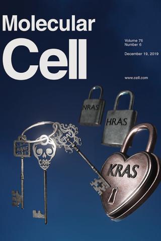 Molecular Cell Cover, 2019 Dec 19;76(6):872-884