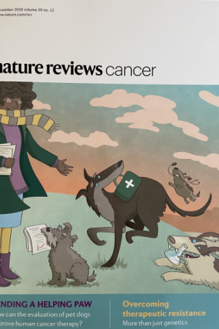 Nature cover - Lending A Helping Paw: Improving human cancer therapy through the evaluation of pet dogs