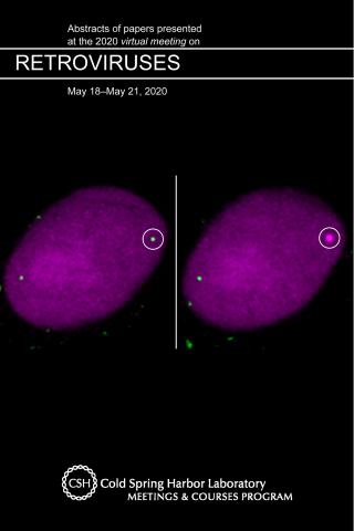 Cover graphic of 2020 Cold Spring Harbor Laboratory Retroviruses Meeting