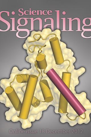 Science Signaling Cover, 2012 Dec 18;5(255)