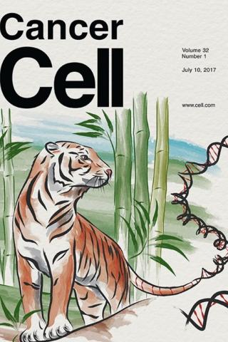 Cancer Cell Cover July 2017 - Tiger