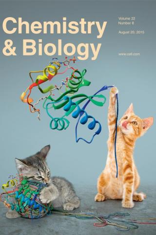 Cover of Chemistry & Biology, Volume 22, Number 8, August 20, 2015
