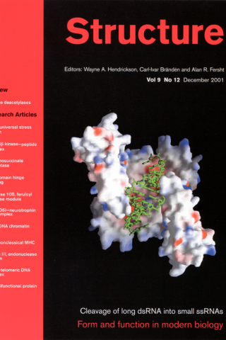 cover of Structure Dec 2001