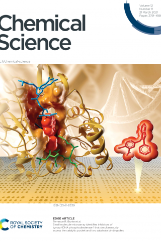 Small molecule microarray identifies inhibitors of tyrosyl-DNA phosphodiesterase 1 that simultaneously access the catalytic pock
