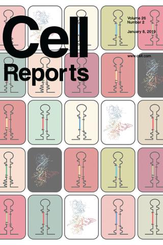 Cell Reports Cover January 2019